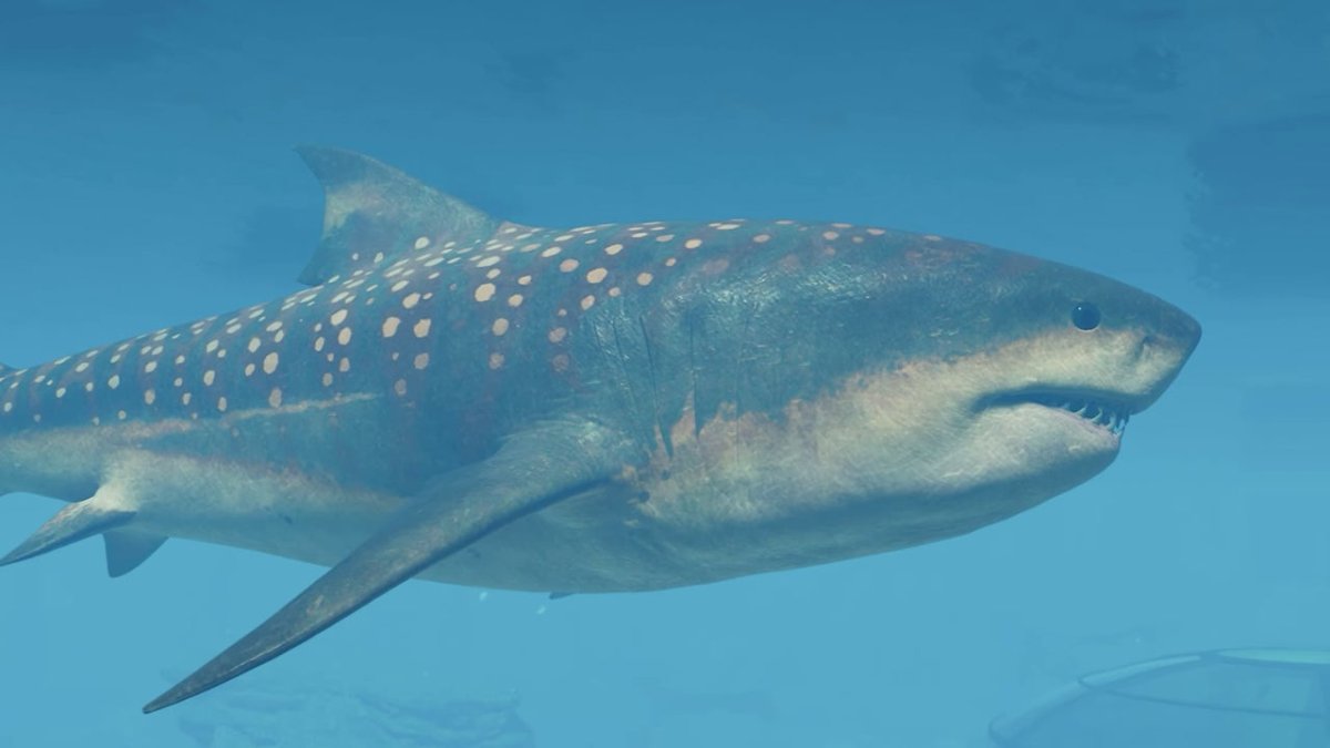 Itu Megalodon Datang ke Jurassic Dunia Evolusi 3 - - Hanya Jangan Mencoba Meninju Dia di dalam itu Menghadapi